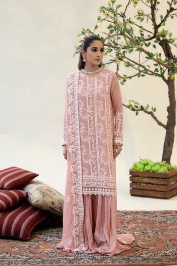 RG-09 EMBROIDERED CHIFFON 3 PCS