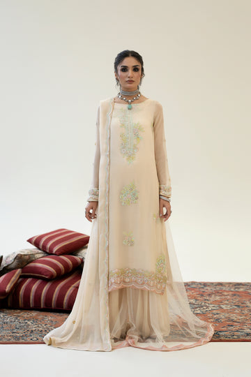 RG-06 EMBROIDERED CHIFFON 3 PCS